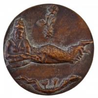 Csúcs Ferenc (1905-1999) 1947. "Irci" kétoldalas Br emlékérem (70mm) T:2 patina