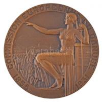 Franciaország 1931. 75 éves az Európai Duna Bizottság Br emlékérem. Szign.: Lucien Bazor (71mm) T:1-  France 1931. 75th Anniversary of the European Danube Commission Br medallion COMMISSION EUROPEENNE DU DANUBE 1856 - 1931 / INAUGURATION DES NOUVELLES DIGUES DE SOULINA MCMXXXI. Sign.: Lucien Bazor (71mm) C:AU