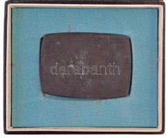 1970. "Hazánk felszabadulásának 25. évfordulójára 1945-1970" fém plakett eredeti, "Va...