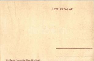 Kisterenye (Bátonyterenye), Báró Solymossy J. kastély (Gyürky-Solymossy kastély). 949. (vágott / cut...