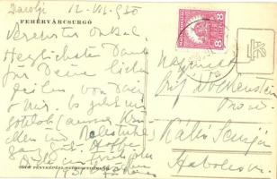 Fehérvárcsurgó, Gróf Károlyi kastély. Tóth fényképész photo (vágott / cut)