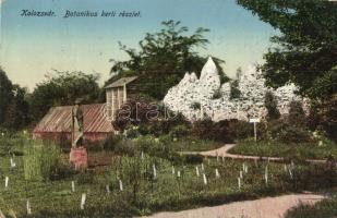 Kolozsvár, Cluj; Botanikus kerti részlet / botanical garden  (EK)