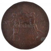 Beck Ötvös Fülöp (1873-1945) 1896. "1896-iki Ezredéves Országos Kiállítás / Közreműködők Érme&q...