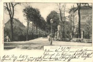 1901 Opole, Oppeln; Ludwigstrasse / street