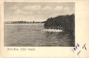 1906 Alap, Felső-Alap; tó nádassal (EK)