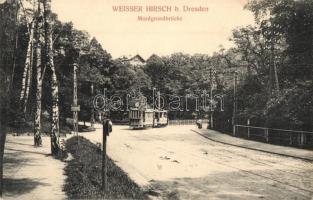 Weisser Hirsch b. Dresden, Mordgrundbrücke, Haltestelle / bridge, tram stop (Rb)