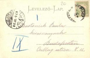 1902 Trencsénteplic, Trencianske Teplice; látkép, nyaralók. Gansel Lipót 5. / general view, villas (...