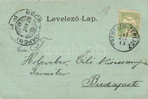 1902 Trencsénteplic, Trencianske Teplice; látkép. Kiadja Wertheim Zsigmond / general view (EK)