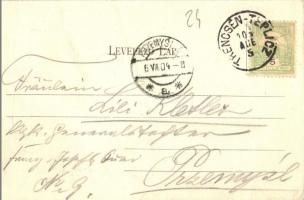 1904 Trencsénteplic, Trencianske Teplice; látkép. Kiadja Wertheim Zsigmond / general view (EK)