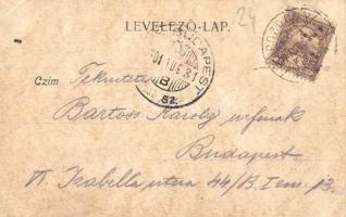 1901 Pozsony, Pressburg, Bratislava; látkép a várral / general view with the castle (EK)