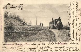 1901 Budapest XII. Svábhegy, fogaskerekű megállóhely vonattal. Divald Károly (r)