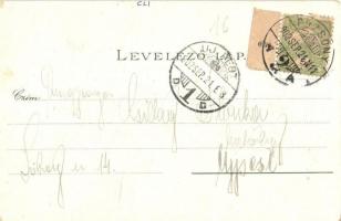 1902 Pozsony, Pressburg, Bratislava; látkép a várral. Heliocolorkarte von Ottmar Zieher / general vi...