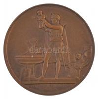 Franciaország 1811. "BAPTEME DU ROI DE ROME - MDCCCXI" kétoldalas Br emlékérem, peremen &q...