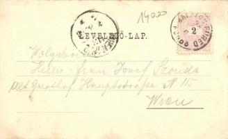 1898 (Vorläufer!) Balatonfüred, Hideg Fürdő Intézet. Floral litho üdvözlőlap