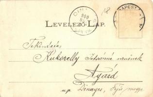 1900 Zboró, Zborov; Schlossruine Zboró / Zborói várrom. Kiadja Divald Adolf 24. / Zborovsky hrad / c...