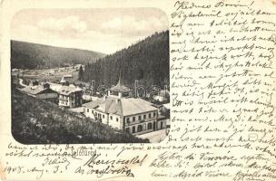 1908 Iglófüred, Spisská Nová Ves Kupele, Novovesské Kúpele; (fa)