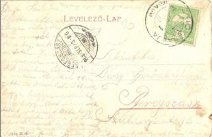 1908 Munkács, Mukacheve, Mukacevo; Fő utca, templom. W.L. 1139. / main street with church (fl)