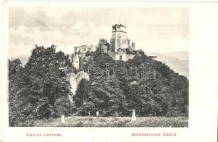 1905 Zboró, Zborov; Schlossruine Zboró / Zborói várrom. Kiadja Divald Adolf 24. / Zborovsky hrad / castle (EK)
