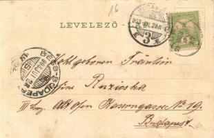 1903 Máriavölgy, Marienthal, Marianka; Kiadja Wiesner Alfréd 7796. (EK)