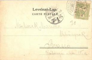 1904 Tátra, Magas Tátra, Vysoké Tatry; Részlet a Csorba tónál. Kiadja Cattarino Sándor 191. sz. / St...