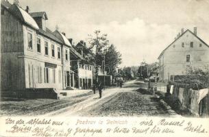 1909 Delnice, Delnicah; utcakép Ivan Premer üzletével / street view with shop
