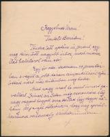 1937 Báró Thoroczkay Viktor nyugalmazott főispán saját kézzel írt, pénzkölcsönt kérő levele Kegyelmes Uram megszólítással