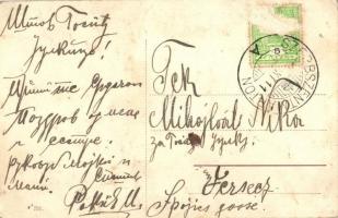 1914 Szerbszentmárton, Sanmartinu Sarbesc; új templom és iskola, Dositej Obradovic szerb írónak emel...