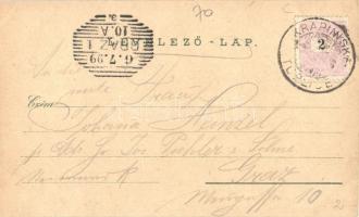 1899 (Vorläufer!) Krapinske Toplice, Krapina-Töplitz; Kurhaus, Kurpark, Bellevue / spa, hotel. A. Sc...