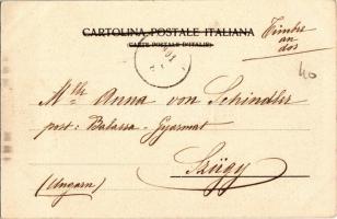 1901 Novi Ligure, Porta Pozzolo, Grand Albergo Reale, Vetture da Nolo e Stallaccio /  street view wi...