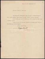 1909-1910 A szepesszombati Flittner-családdal kapcsolatos 3 db irat, ebből kettő a magyar nemességi ...