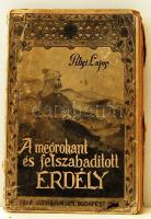 1916 Pilisi Lajos: A megrohant és felszabadított Erdély (sérült lapok és gerinc)