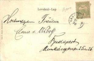 Nagyszeben, Hermannstadt, Sibiu; Grosser Ring / utcakép, lovaskocsik, templom. Kiadja Carl F. Jickel...