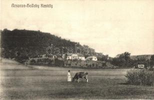 1910 Acsuca, Ácsfalva, Aciuta; Hollaky kastély, legelésző tehén / castle with grazing cow