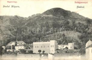 1913 Szilágysomlyó, Simleu Silvaniei; Magura-hegy, szőlőhegy, Simai kastély / Dealul Magura / mountain, vineyards, castle