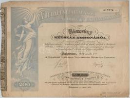 9db-os vegyes részvény, kötvény és sorsjegy tétel, közte Budapest 1894. "A Budapesti Általános ...