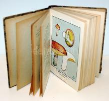 cca 1940 Szemere László: Gombaszedők kézikönyve 50 színes képpel