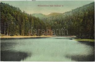 12 db régi felvidéki városképes lap (Trencsénteplic, Nyitra, Galgóc, Selmecbánya, Tornalja, stb.) / ...