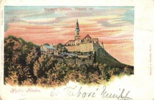 12 db régi felvidéki városképes lap (Trencsénteplic, Nyitra, Galgóc, Selmecbánya, Tornalja, stb.) / ...