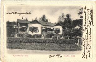 1905 Bártfa, Bártfafürdő, Bardejovské Kúpele, Bardejov; Kaczvinszky villa. Kiadja Eschwig Ede F. Hajts Kornél felvétele / villa (EK)