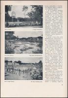 cca 1940 A Debreceni Nagyerdei Városi Fürdő. é.n. 12p. sok képpel