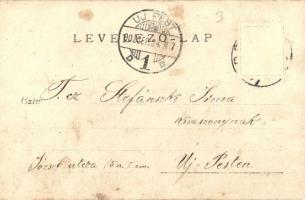 1902 Déva, Deva; Déva vára a múlt században / Cetatea Deva / castle in the 19th century (fl)