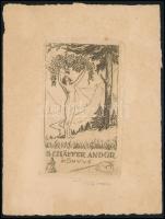 Révész Kornél (1885-1944): Schäffer Andor könyve, ex libris, rézkarc, papír, jelzett, 9,5×6 cm