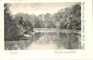 1907 Nagyláng (Soponya), Zichy kastély parkja + Prinzessin Maria Anna (Minki) Hohenlohe-Schillingsfürstnek címezve (Rb)