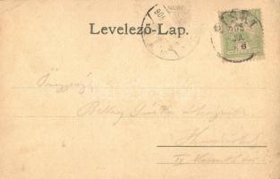 1905 Piski, Simeria; Bem szobor, emlékmű, Piski csata 1849. február 9. 1848-49-es forradalom és szab...