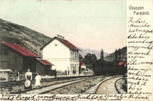 1907 Parajd, Praid; Vasútállomás, Pályaudvar, gőzmozdony, vagonok. Kiadja Stein J. / Bahnhof / railway station, locomotive, wagons (EK)