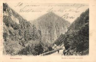1904 Petrozsény, Petrosani; Szurduki szoros. Kiadja Herz Arnold és Grausam Károly / Pasul Surduc / mountain pass (EK)
