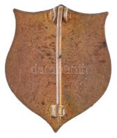 Amerikai Egyesült Államok DN zománcozott olimpiai Br jelvény (18x21mm) T:2 / USA ND enamelled Olyimp...