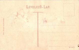 Déva, Deva; Református templom. Kiadja Hirsch Adolf / Calvinist church (ragasztónyomok / glue marks)