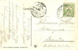 1907 Buziásfürdő, Baile Buzias; Hidegvíz-gyógyintézet. Francz Testvérek kiadása / cold water spa, ba...