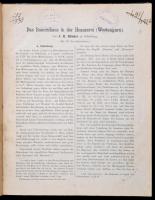 Johann Reinhard Bünker /  Bünker János Rajnárd (1863-1914): Das Bauernhaus in der Heanzerei (Westung...